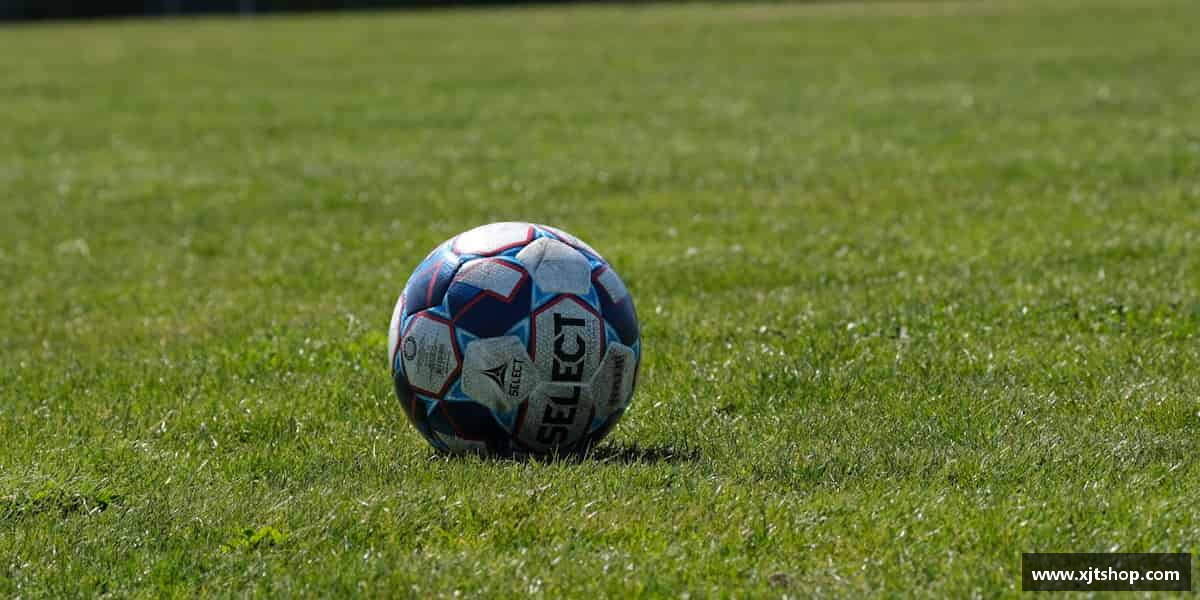 谈球吧中国勇敢拼搏，追逐属于自己的梦想。